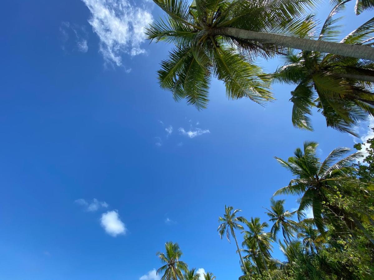 Alimas Holiday Retreat Maldives フェリッドホー エクステリア 写真