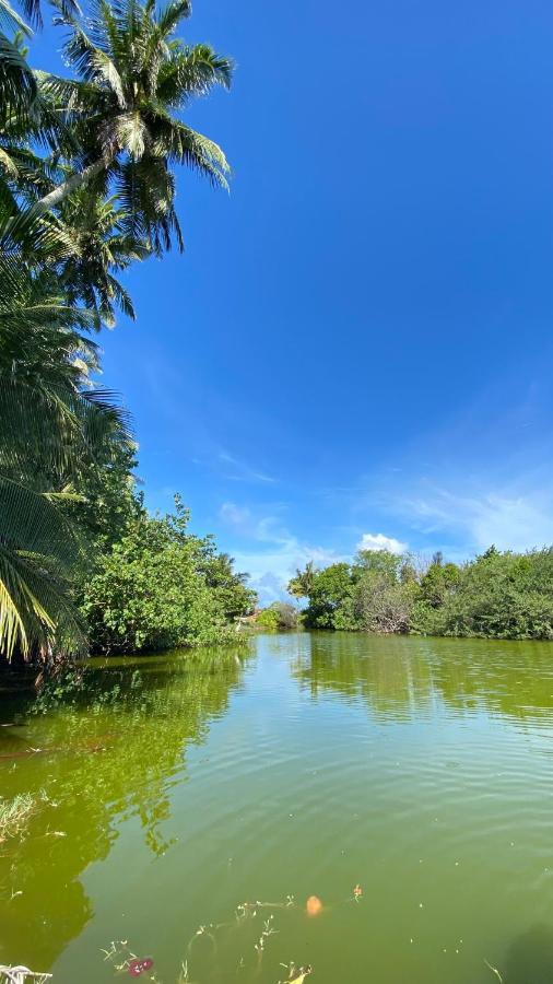 Alimas Holiday Retreat Maldives フェリッドホー エクステリア 写真