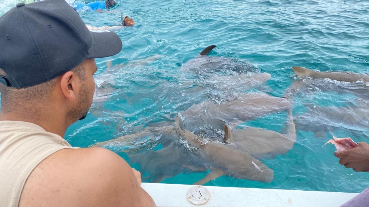Alimas Holiday Retreat Maldives フェリッドホー エクステリア 写真