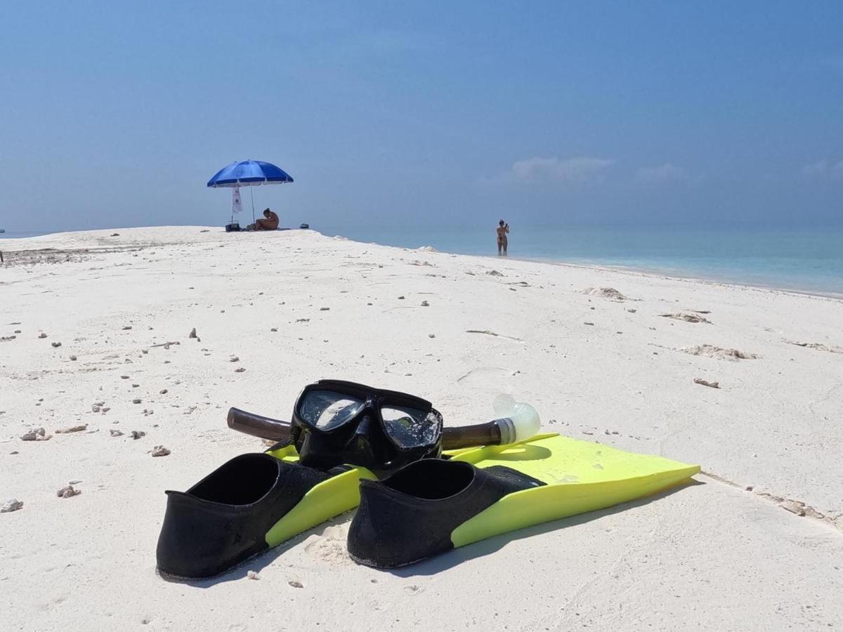 Alimas Holiday Retreat Maldives フェリッドホー エクステリア 写真